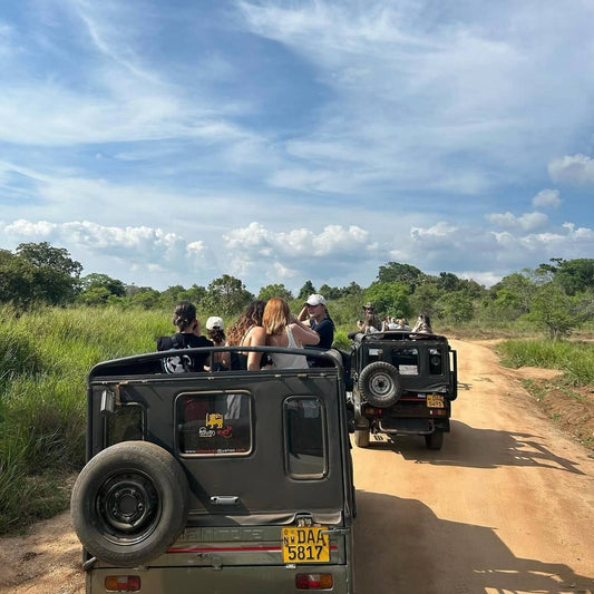 Sri Lanka Adventure, Hill Country & Safari Weekend Trip 🇱🇰