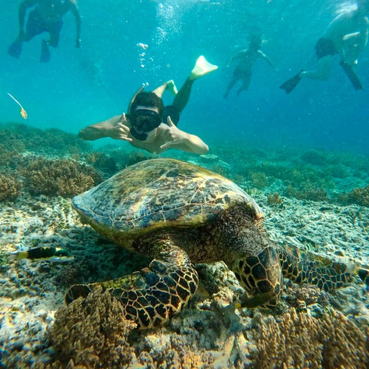 Bali Gili Paradise Island Weekend Trip 🇮🇩