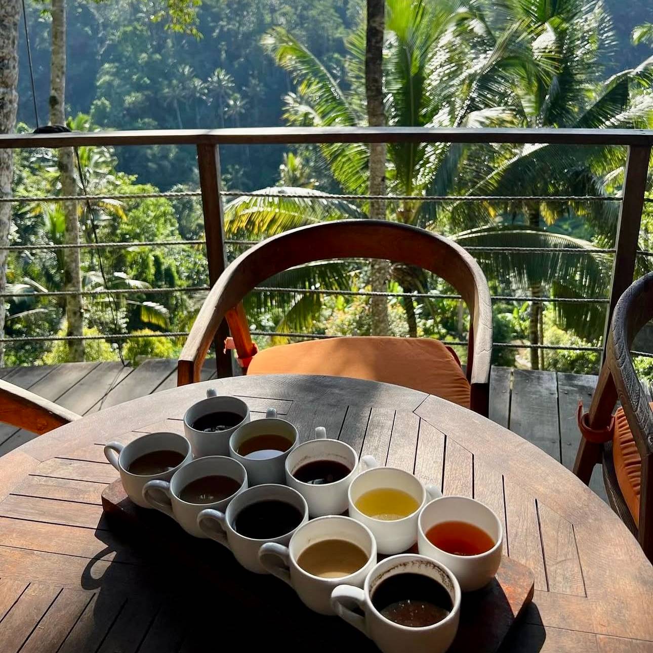 Bali Ubud Weekend Trip ๐ฎ๐ฉ
