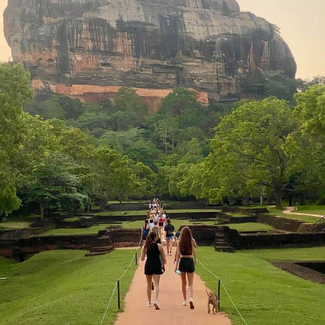 Sri Lanka Cultural Triangle & Elephants Weekend Trip 🇱🇰